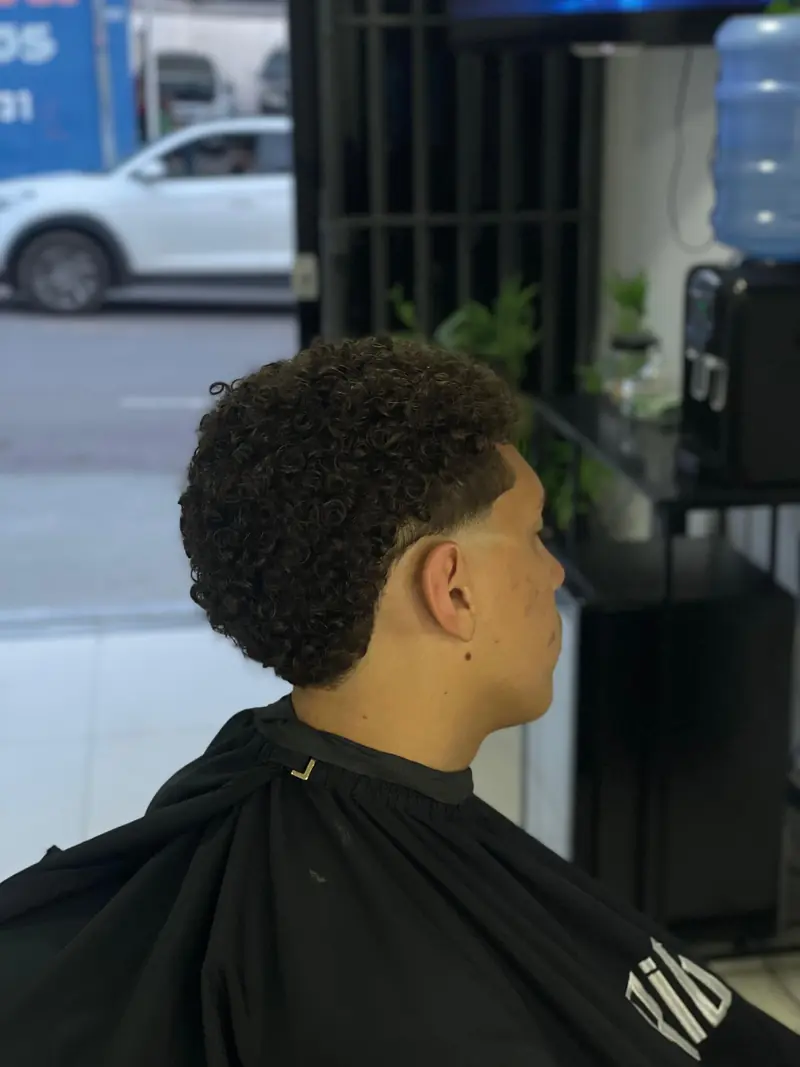 Cabelo cacheado com degradê na lateral, visto de costas, feito na Original Barbershop
